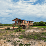Homes for Sale in Hopkins, Belize