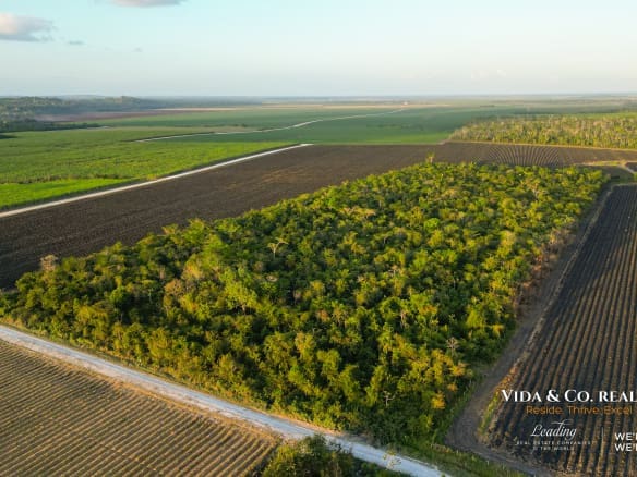 Farm Land in Belize
