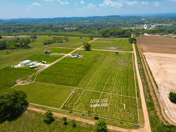 Danter Ranch Lot #1 for Sale in Spanish Lookout