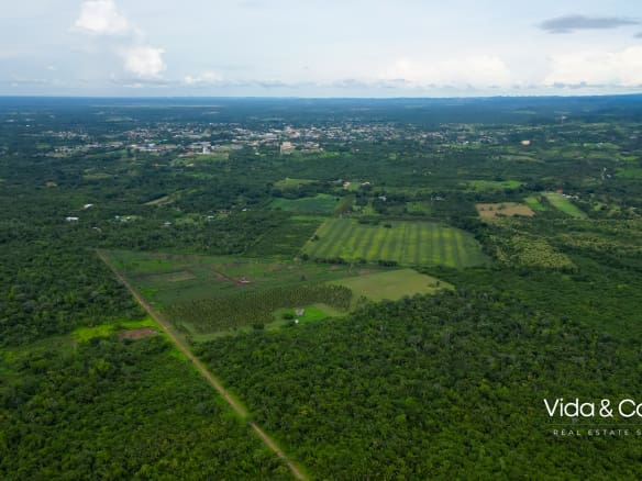 20 Acre Belmopan Farm for Sale