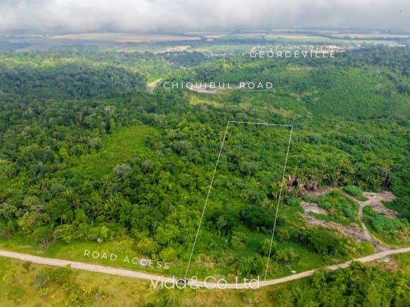 1 Acre GeorgeVille Lot