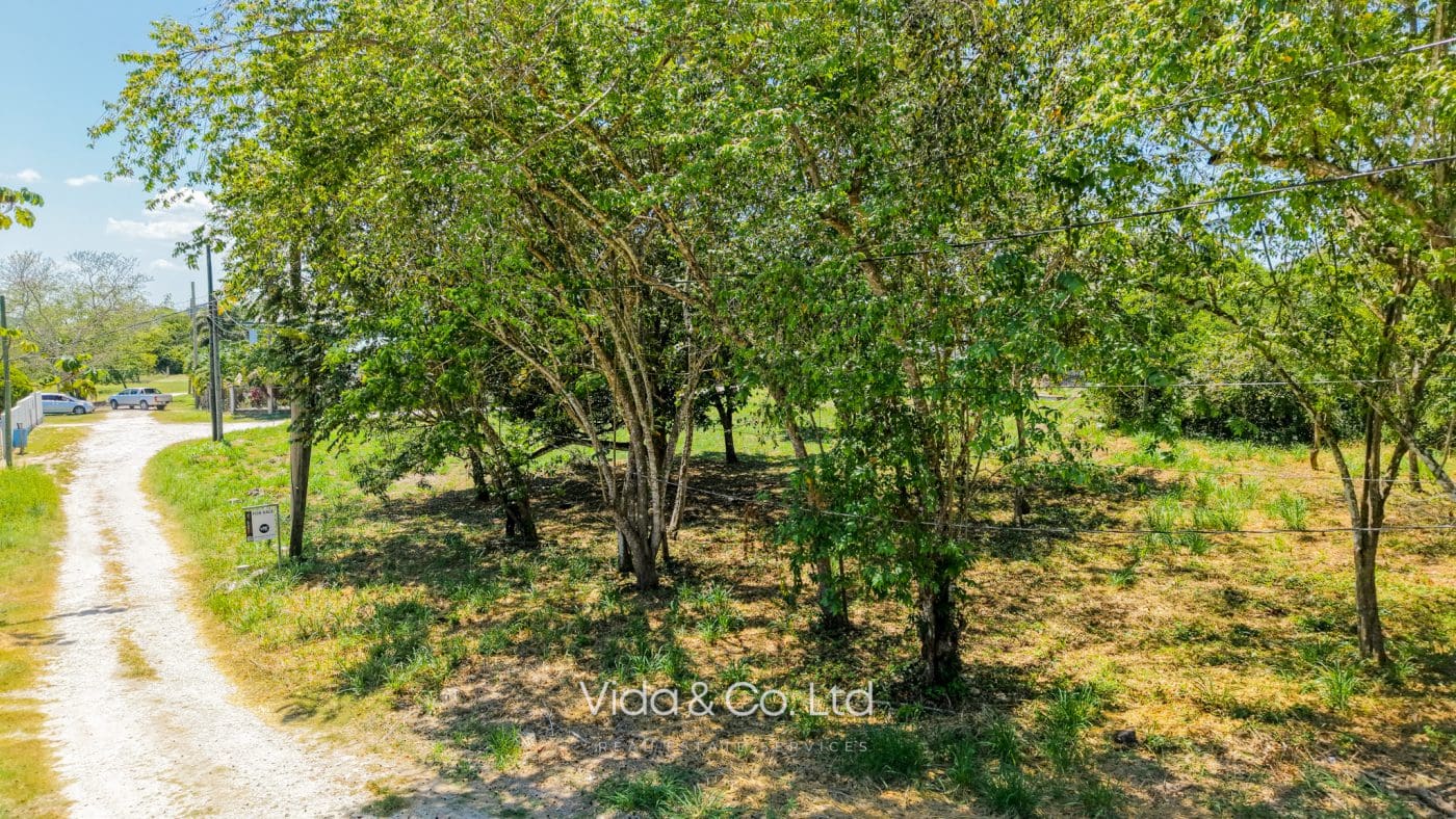 default San Ignacio Belize land for sale