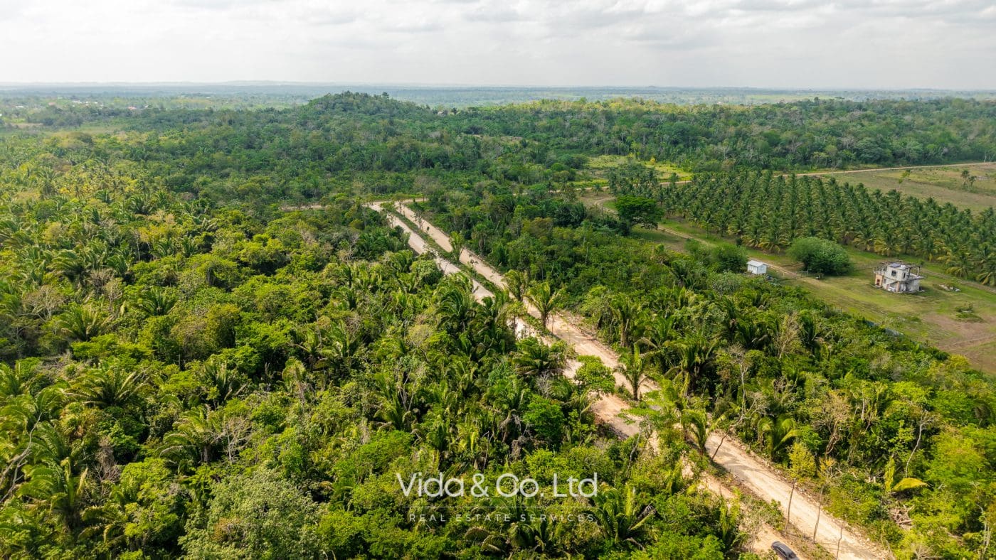 Belmopan Lots for Sale